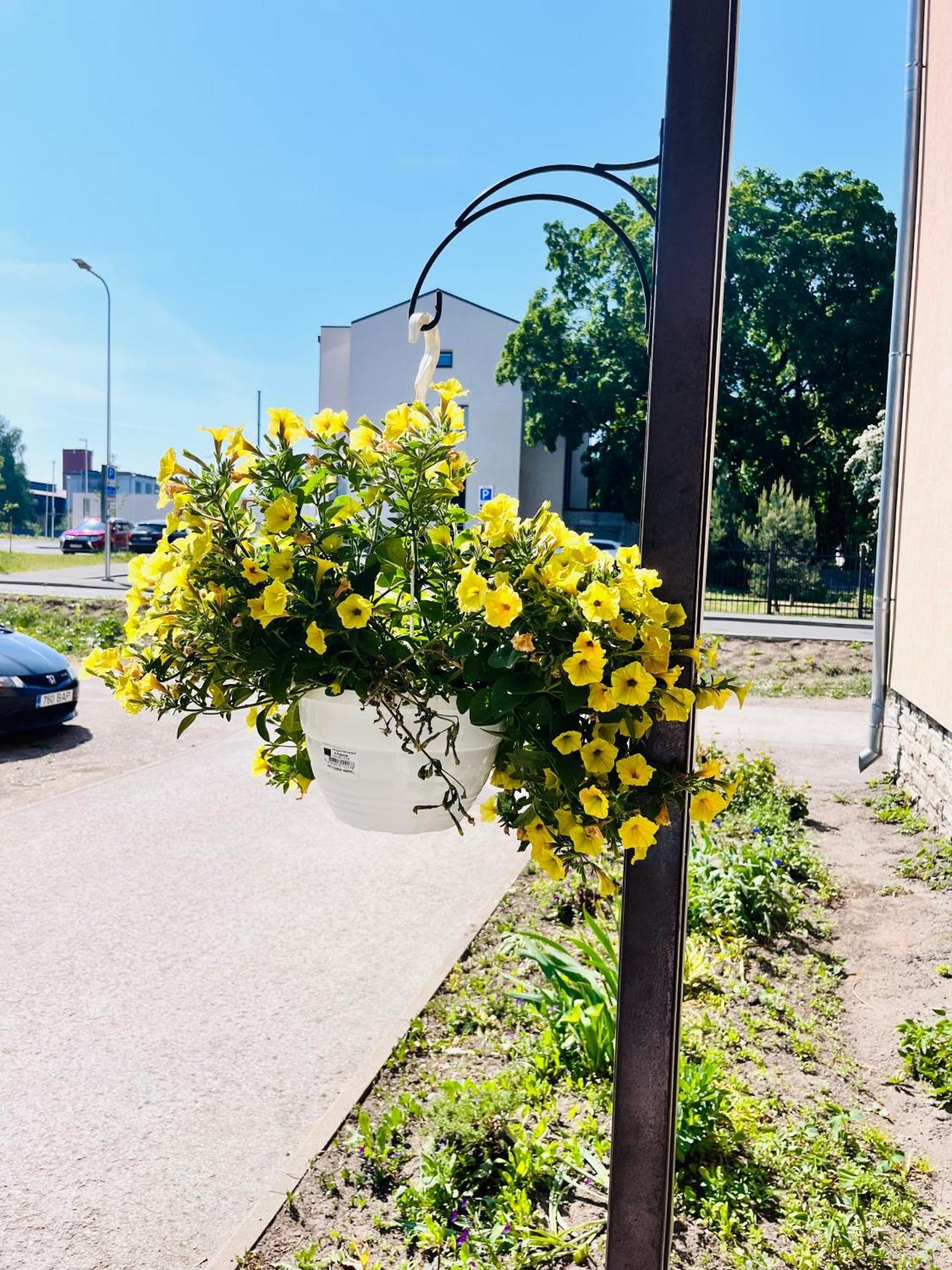 Tallinnhousing Studio For 4 With Free Parking Eksteriør billede