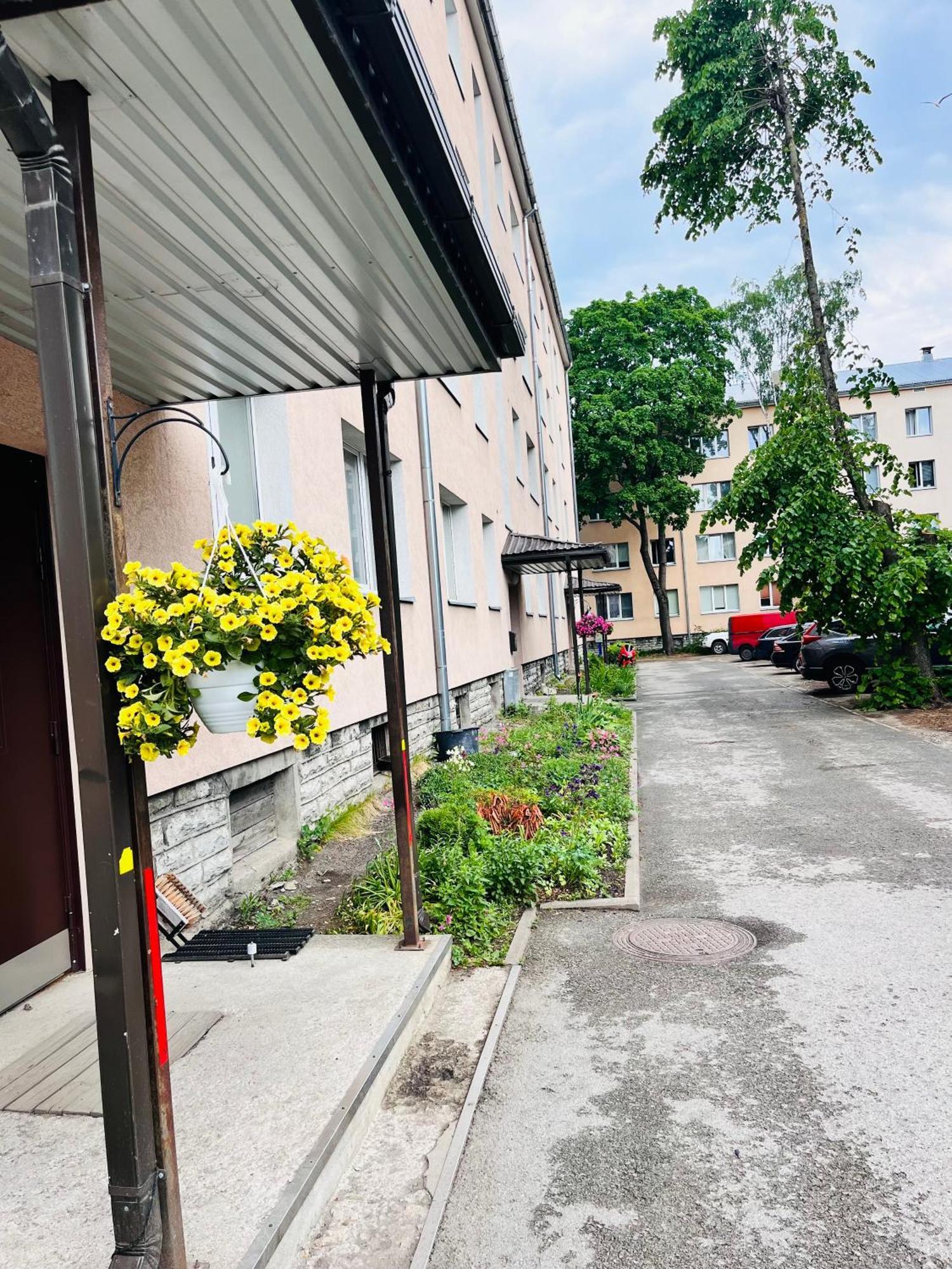 Tallinnhousing Studio For 4 With Free Parking Eksteriør billede